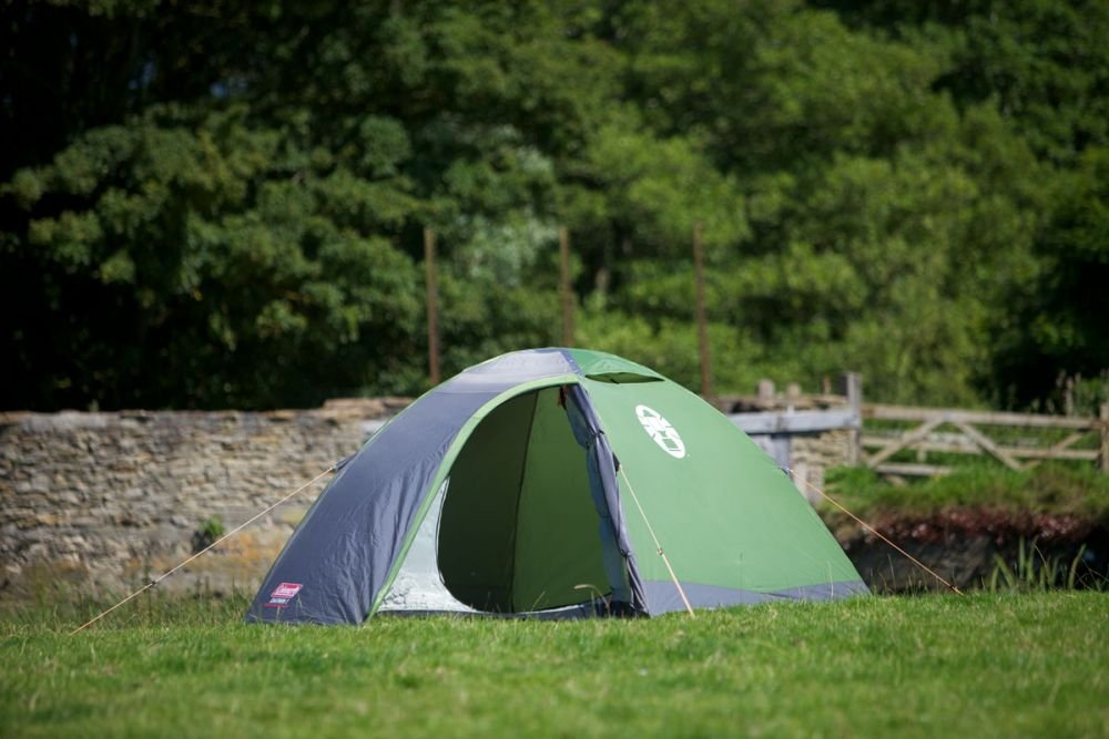 Coleman Darwin 3 Dome Tent | 3 Person | WeatherTec System | Full Waterproof Fly | Fibreglass Poles | 5-10 Min Setup | Compact & Lightweight | Green - Image 3